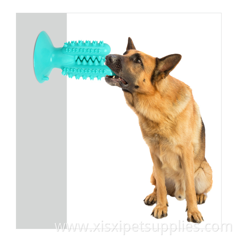 Factory Wholesale Rubber Pet Molar Toys Dog Toothbrush Stick Cactus Interactive Dog Toothbrush Chew Toy With Suction Cup